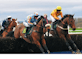 The challenges of covering horse racing during the coronavirus pandemic