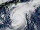 Rugby World Cup day 22: Australia to beat Typhoon Hagibis