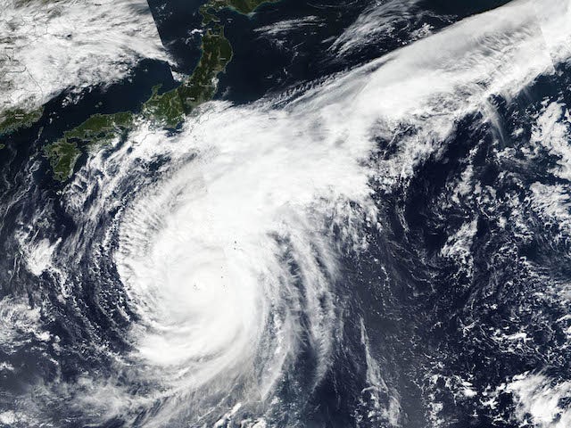 Steve Borthwick expresses concern for impact of Typhoon Hagibis