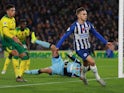 Brighton and Hove Albion's Leandro Trossard celebrates scoring their first goal on November 2, 2019