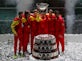 Rafael Nadal seals home Davis Cup glory for Spain