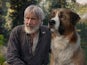 Harrison Ford and a large dog in Call of the Wild