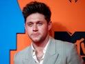Niall Horan pictured at the EMAs on November 3, 2019