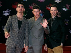 Jonas Brothers reunion dropped?
