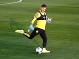 Borussia Dortmund goalkeeper Roman Burki pictured in January 2020