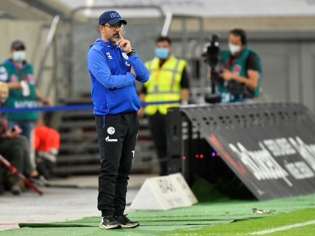 David Wagner 'will not be new West Brom manager'