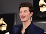 Shawn Mendes pictured in February 2019