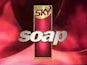 Sky Soap logo