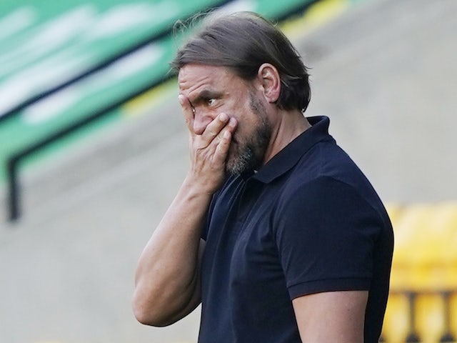 Daniel Farke admits Norwich need relegation 