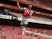 Arsenal captain Pierre-Emerick Aubameyang celebrates scoring against Norwich City on July 1, 2020