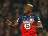 Victor Osimhen in action for Lille on January 26, 2020