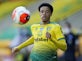 Newcastle complete £15m Jamal Lewis signing from Norwich City