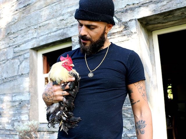 5ive's Abz Love quits being farmer after 