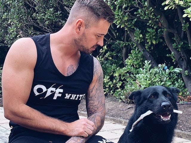 Katie Price 'buys second guard dog after alleged assault'