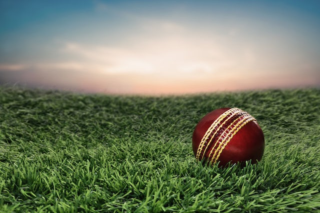 Cricket roundup: Haynes, D'Oliveira impress as Worcestershire thrash Essex