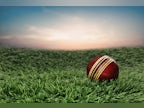 Ultimate guide to start cricket as a career