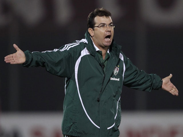 Enderson Moreira, now in charge of Goias, pictured in 2011