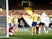 Ruben Loftus-Cheek scores for Fulham against Everton in the Premier League on November 21, 2020