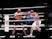 Mike Tyson fights Roy Jones Jr for the WBC Frontline Belt on November 28, 2020