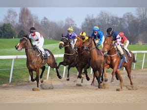 4 most profitable horse racing systems