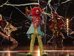 The Masked Singer: Who is Robin? All the clues so far!