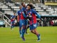 Result: Cahill and Riedewald on target as Crystal Palace overcome Newcastle