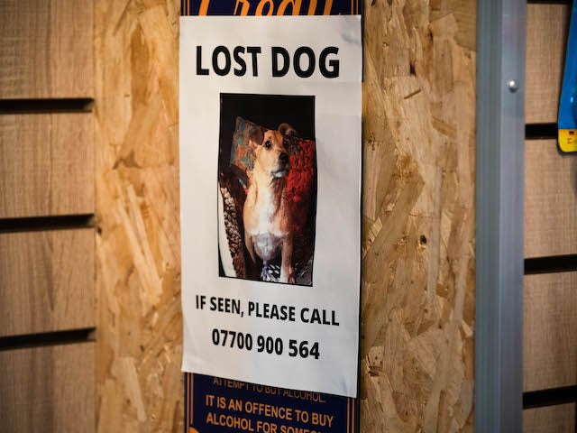 A lost dog poster on EastEnders on March 18, 2021