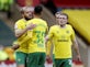 Result: Norwich 3-0 Luton: Teemu Pukki bags brace in comfortable Canaries win