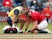Lions captain Alun Wyn Jones goes down injured against Japan on June 26, 2021