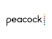 Sky, Peacock to make drama about Lockerbie air disaster