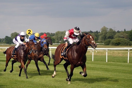 horse racing gallup