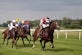 The history of Newmarket racecourse