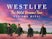 Westlife The Wild Dreams Tour