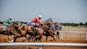 Horse Racing Dirt