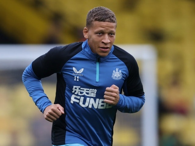Howe insists Dwight Gayle does have Newcastle future