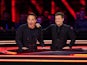 Ant and Dec for Ant and Dec's Limitless Win