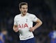 <span class="p2_new s hp">NEW</span> Leeds United join race to sign Tottenham Hotspur midfielder Harry Winks? 