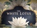The White Lotus season three to be set in Japan?