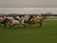 How to place a bet on Cheltenham | Betting Guide