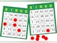 Exploring the different variations of bingo