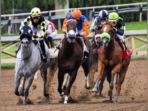 Using class rating and speed figure in horse race betting
