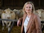 Liz Truss poses with livestock on August 1, 2022