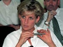 Princess Diana pictured in January 1997