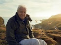 Sir David Attenborough for Wild Isles