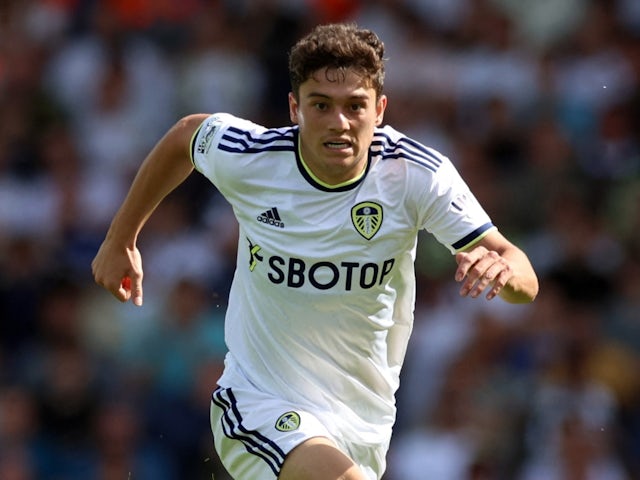 Fulham sign Daniel James on loan from Leeds United