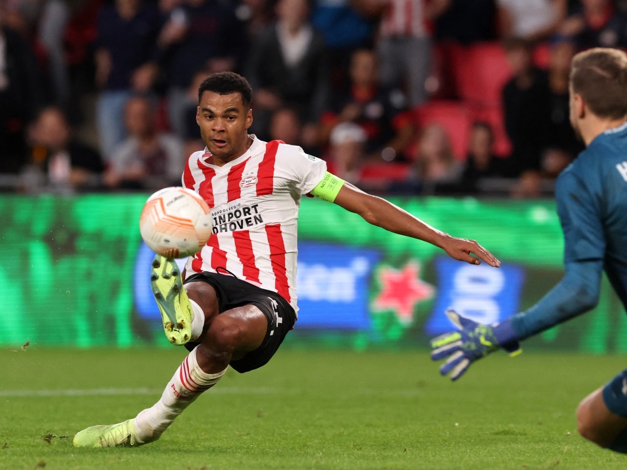 PSV Eindhoven's Cody Gakpo 'to change agents amid Premier League links'