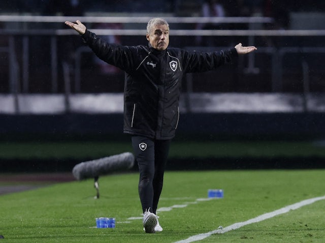 Botafogo boss Luis Castro on October 9, 2022