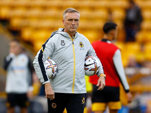 Caretaker Wolverhampton Wanderers head coach Steve Davis on October 15, 2022.