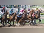 How to increase your chances of winning the Pegasus World Cup