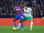 Crystal Palace hold Newcastle United to goalless draw at Selhurst Park